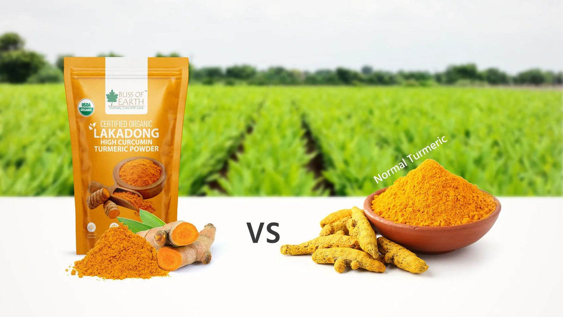 đŋ Normal Turmeric vs. Lakadong Turmeric: What's the Real Difference? - Foodexcart