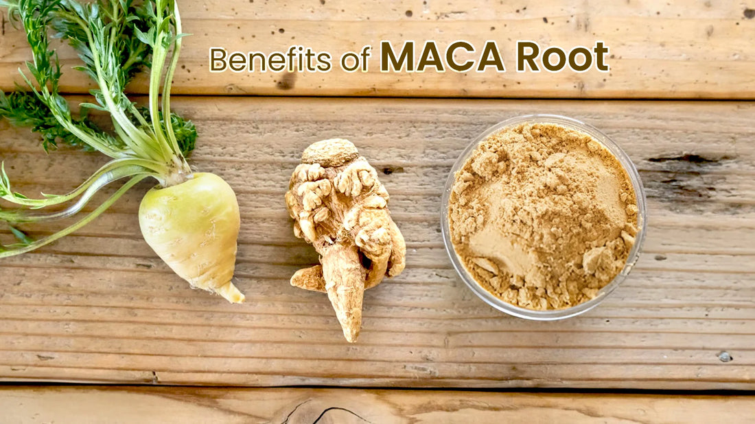 4 Benefits of Maca Root